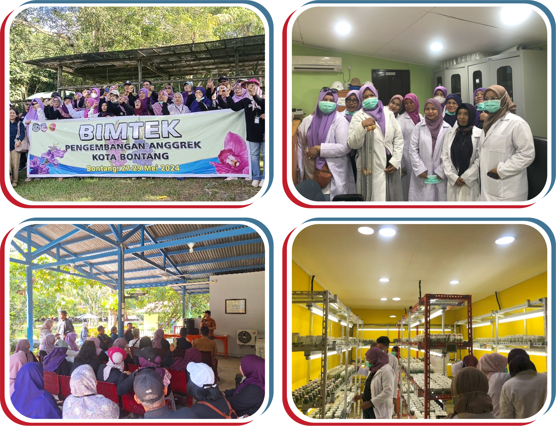 Knowledge Sharing Orchid 2024
